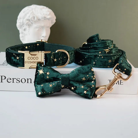 Personalizzabile - set collare per cani stelline dorate verde