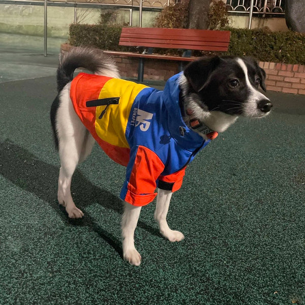 Impermeabile felpato anti pioggia per cani Bonapet