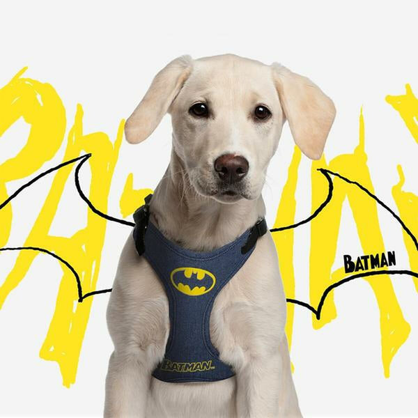 Pettorina per Cani Batman XS