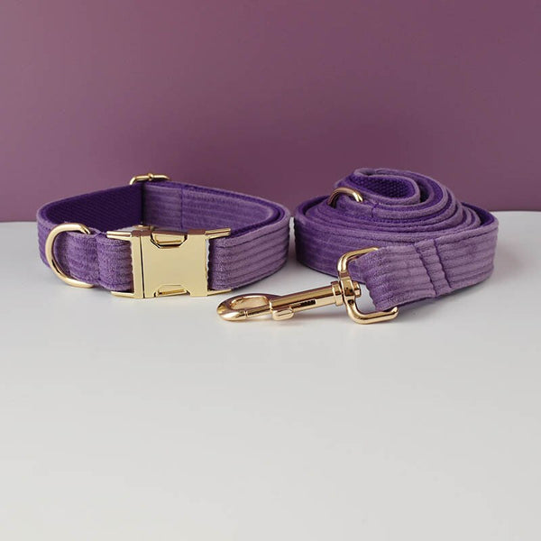 PERSONALIZZABILE - SET COLLARE PER CANI IN VELLUTO VIOLA A COSTE