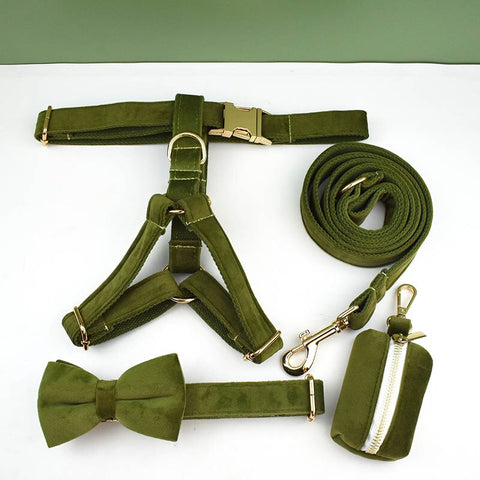 PERSONALIZZABILE - SET PETTORINA PER CANI IN VELLUTO VERDE MILITARE