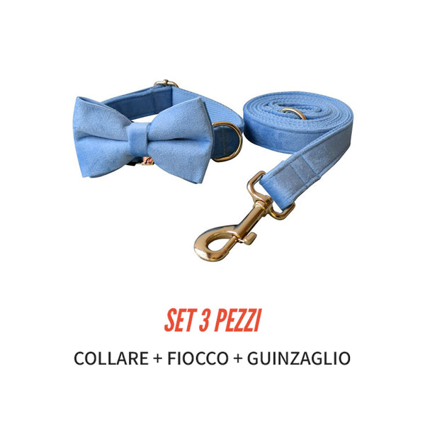 PERSONALIZZABILE - SET COLLARE PER CANI IN VELLUTO CELESTE