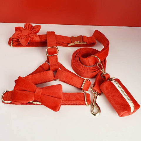 PERSONALIZZABILE - SET PETTORINA PER CANI IN VELLUTO ROSSO